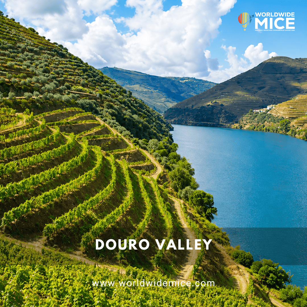 Douro Valley